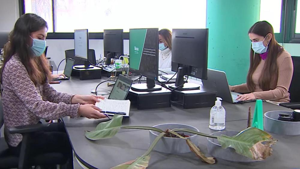 Mercado laboral en España II