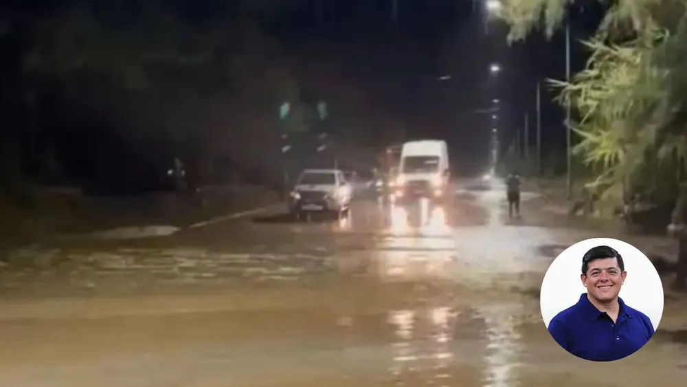 plantilla diario (3)