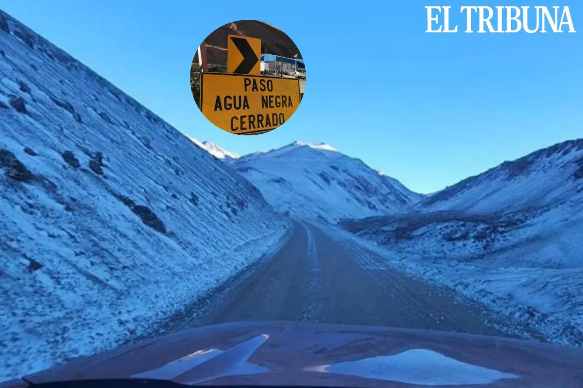 WhatsApp Image 2025-05-19 at 11.25.58