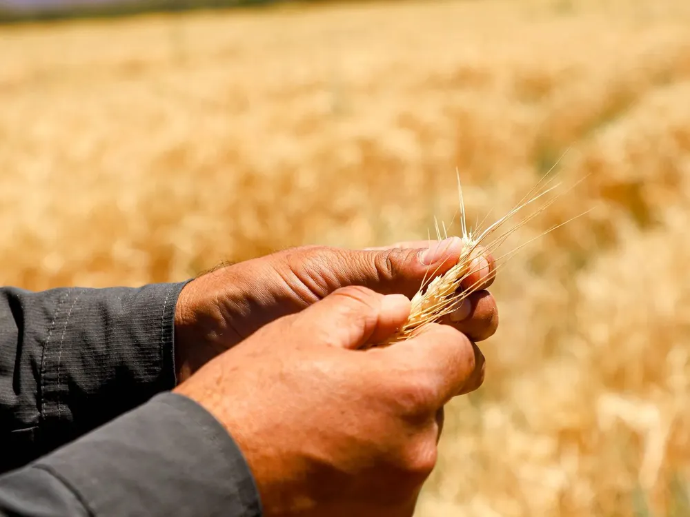 WhatsApp Image 2025-12-02 at 18.17.38 (1)