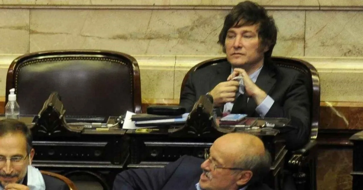 Milei y el Congreso
