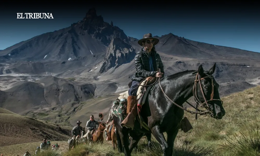 WhatsApp Image 2025-03-31 at 10.29.25