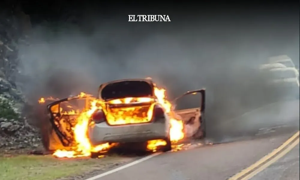 WhatsApp Image 2025-02-07 at 10.38.49