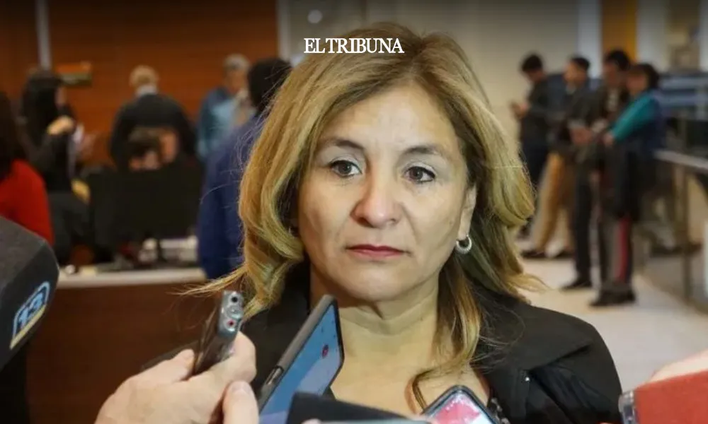 WhatsApp Image 2025-04-15 at 12.17.13