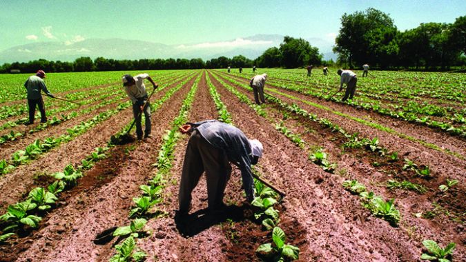 trabajador-rural