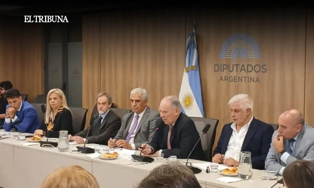 WhatsApp Image 2025-03-28 at 08.40.27