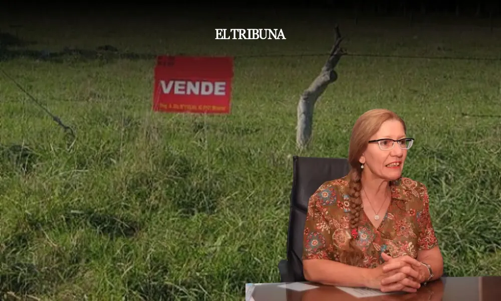 WhatsApp Image 2025-03-25 at 12.12.11