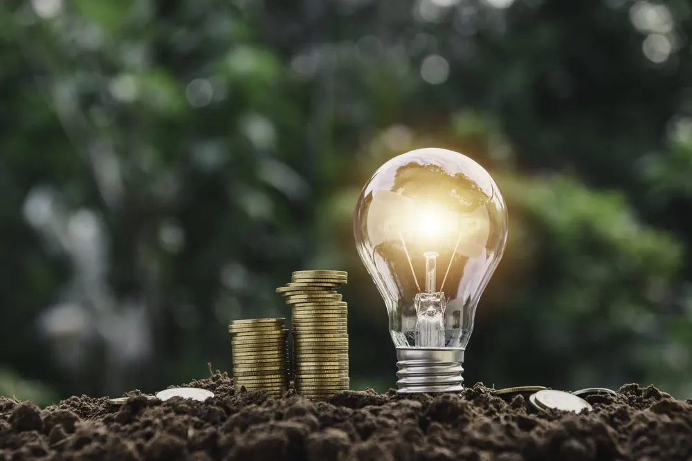 Mercado eléctrico