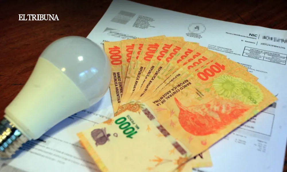 WhatsApp Image 2025-02-27 at 11.05.41