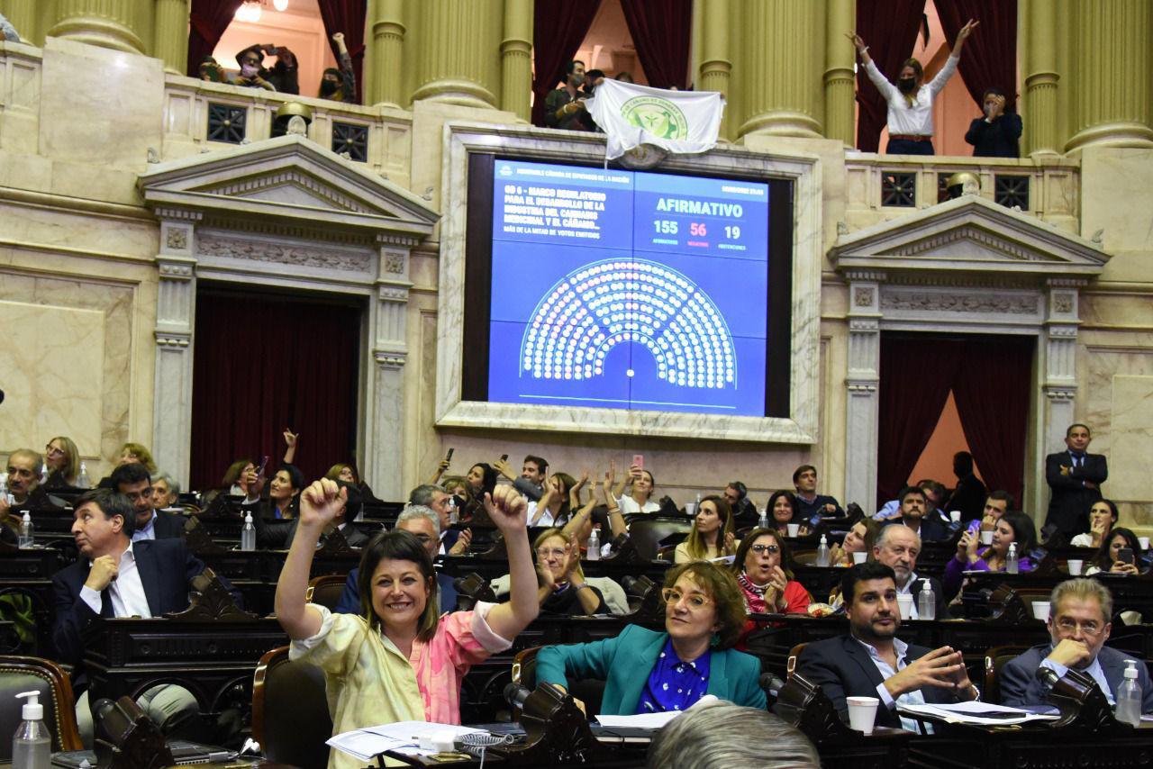 05052022 - Diputados aprueba varios proyectos Bis