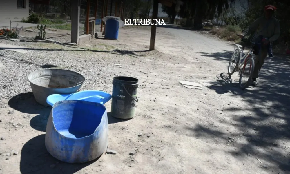 WhatsApp Image 2025-02-14 at 12.34.00