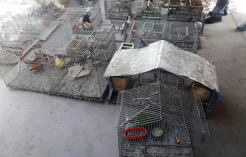 3d3532fd0257e6f3e6c66e842763699f_L