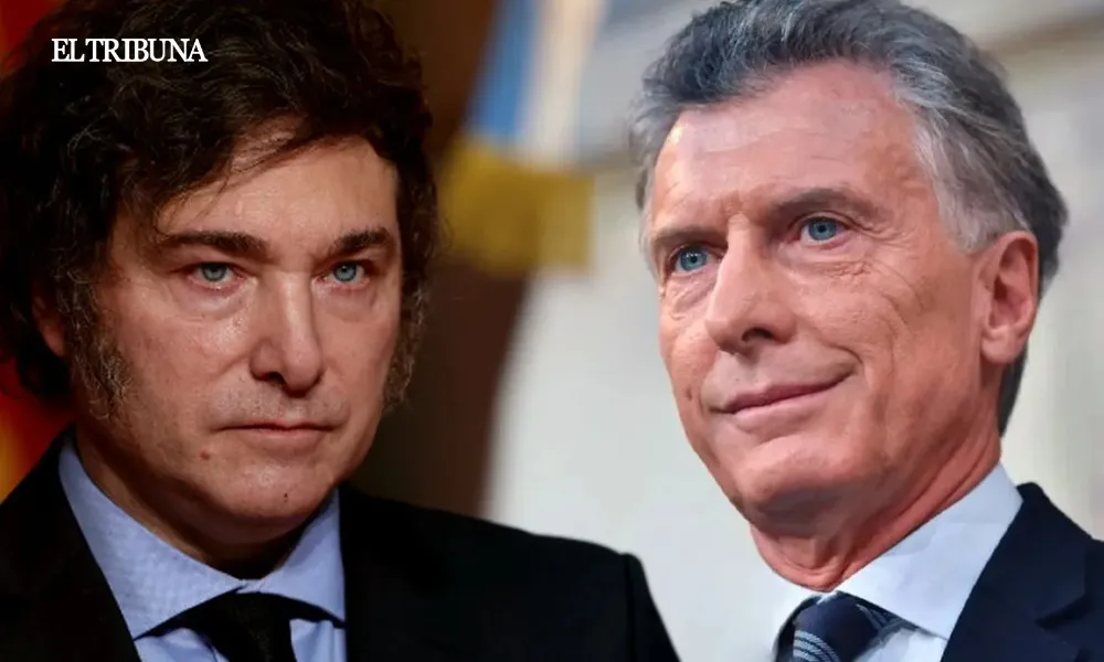 WhatsApp Image 2025-04-16 at 11.44.53