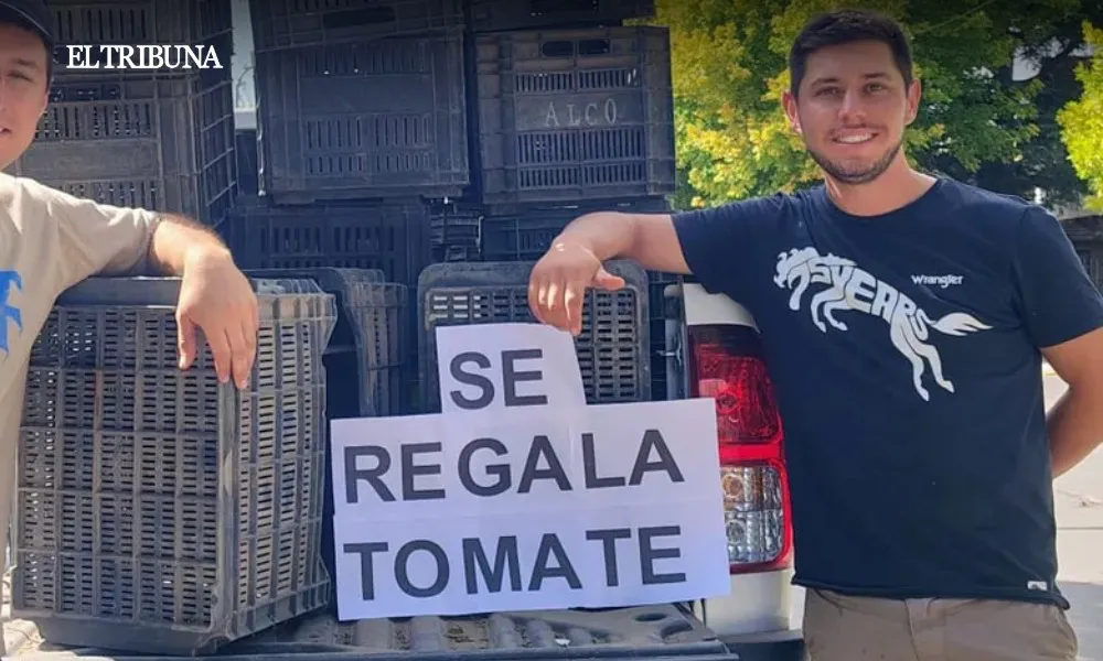 WhatsApp Image 2025-04-14 at 10.03.36