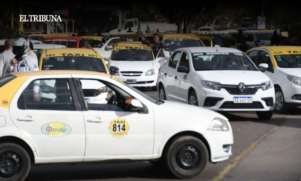 WhatsApp Image 2025-04-03 at 12.20.45