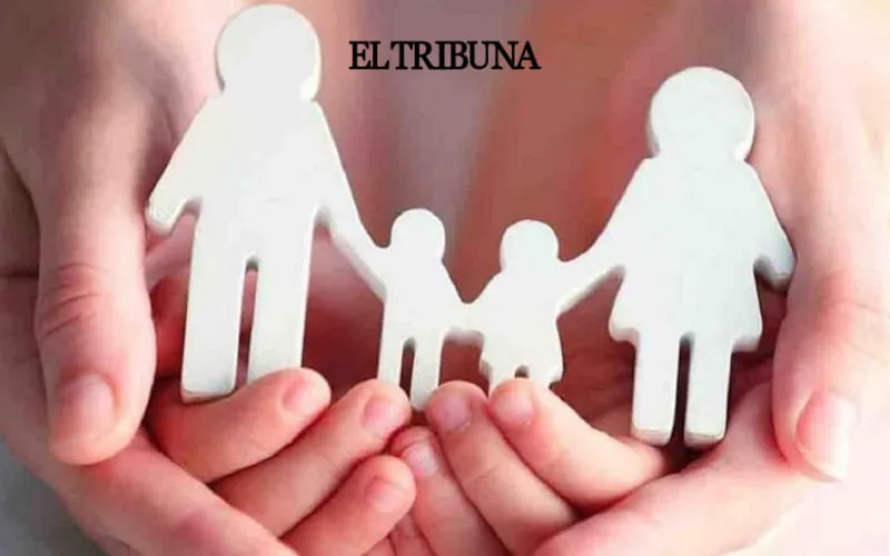 WhatsApp Image 2025-02-25 at 11.46.08