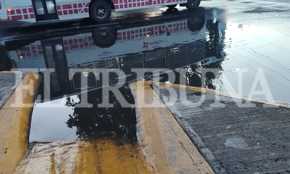 WhatsApp Image 2025-03-07 at 08.18.40