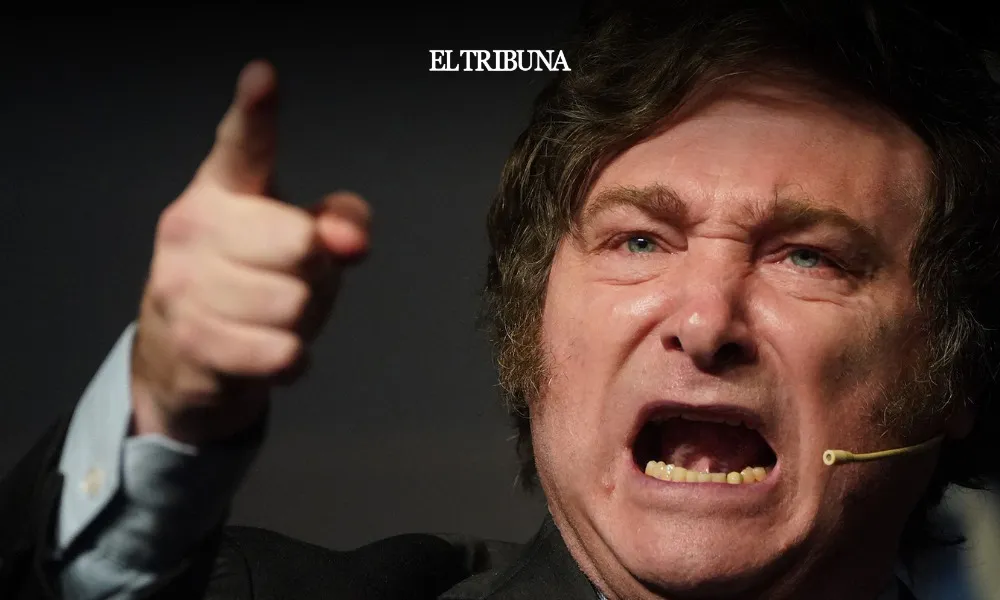 WhatsApp Image 2025-04-15 at 09.59.46