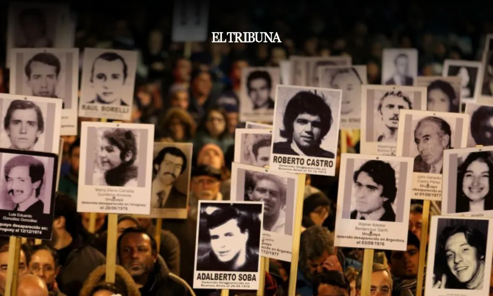 WhatsApp Image 2025-02-20 at 11.28.29