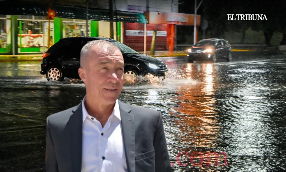 WhatsApp Image 2025-03-13 at 10.54.11