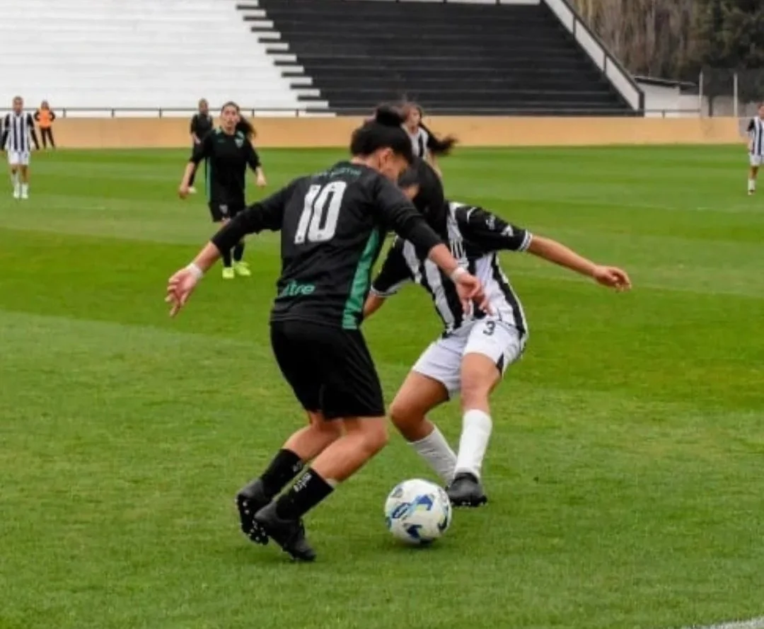 WhatsApp Image 2026-03-31 at 6.22.49 PM