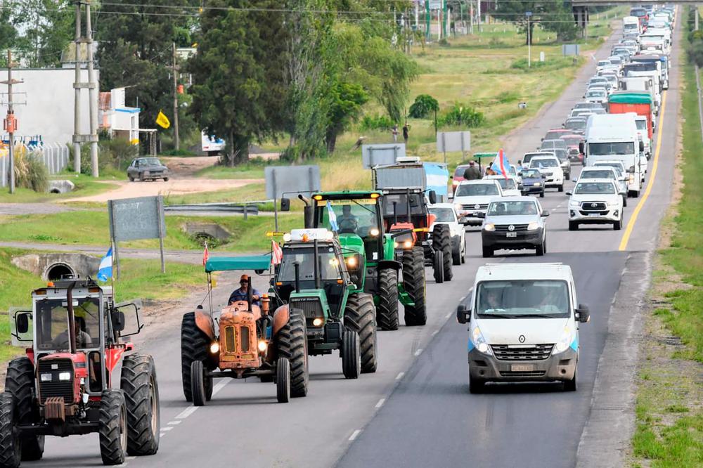 Campo