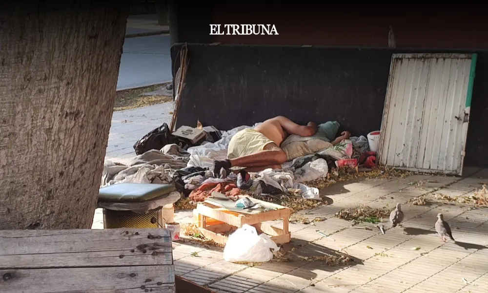 WhatsApp Image 2025-02-11 at 09.01.28