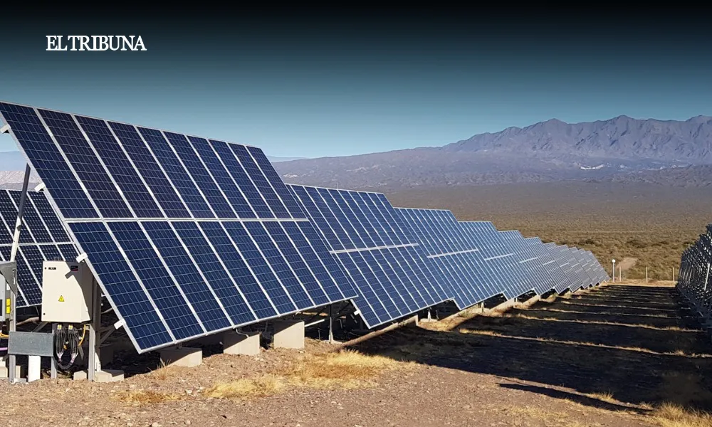 WhatsApp Image 2025-03-05 at 11.50.32