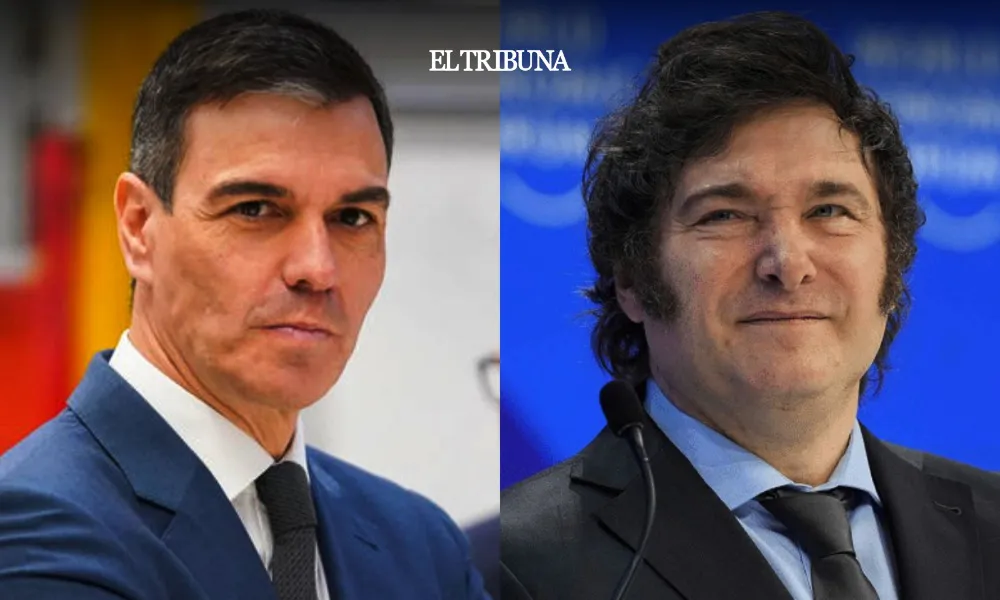 WhatsApp Image 2025-02-26 at 08.31.15