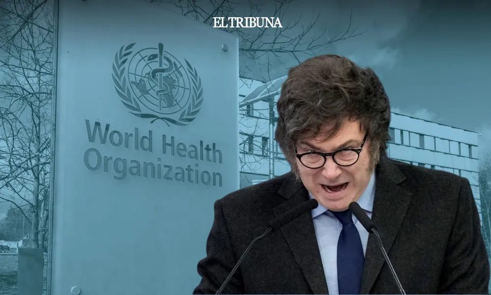 WhatsApp Image 2025-02-05 at 12.36.34