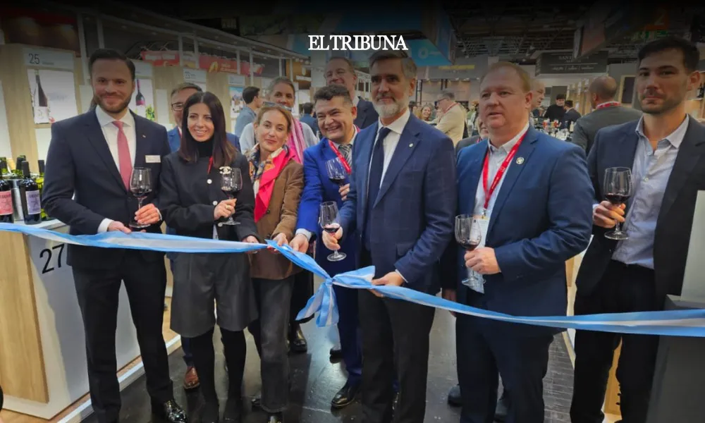 WhatsApp Image 2025-03-17 at 11.51.15