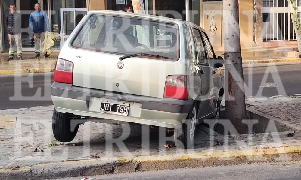 WhatsApp Image 2025-04-16 at 09.04.09