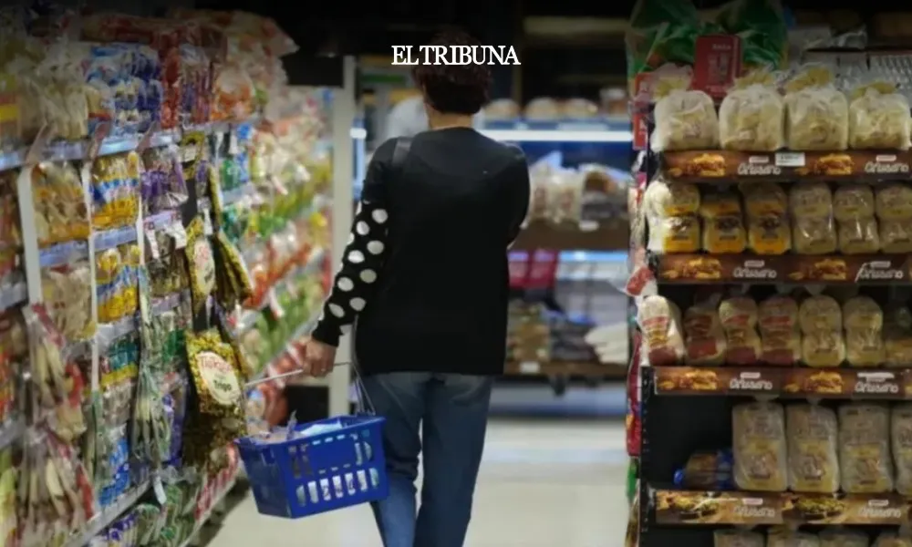 WhatsApp Image 2025-03-07 at 12.18.24