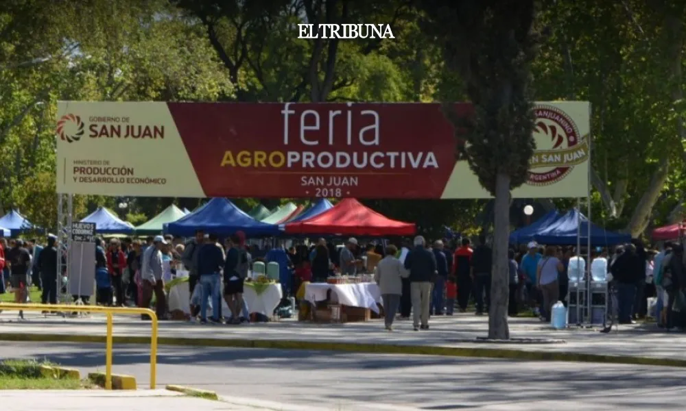 WhatsApp Image 2025-02-05 at 12.05.28