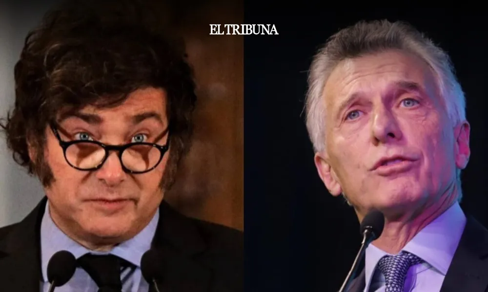 WhatsApp Image 2025-03-12 at 10.17.41