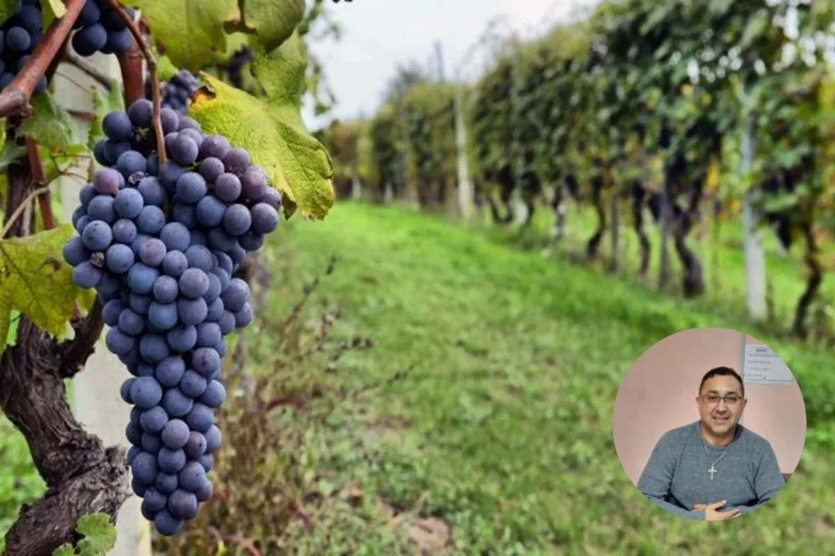 Plantilla para fotos el tribuna (13)