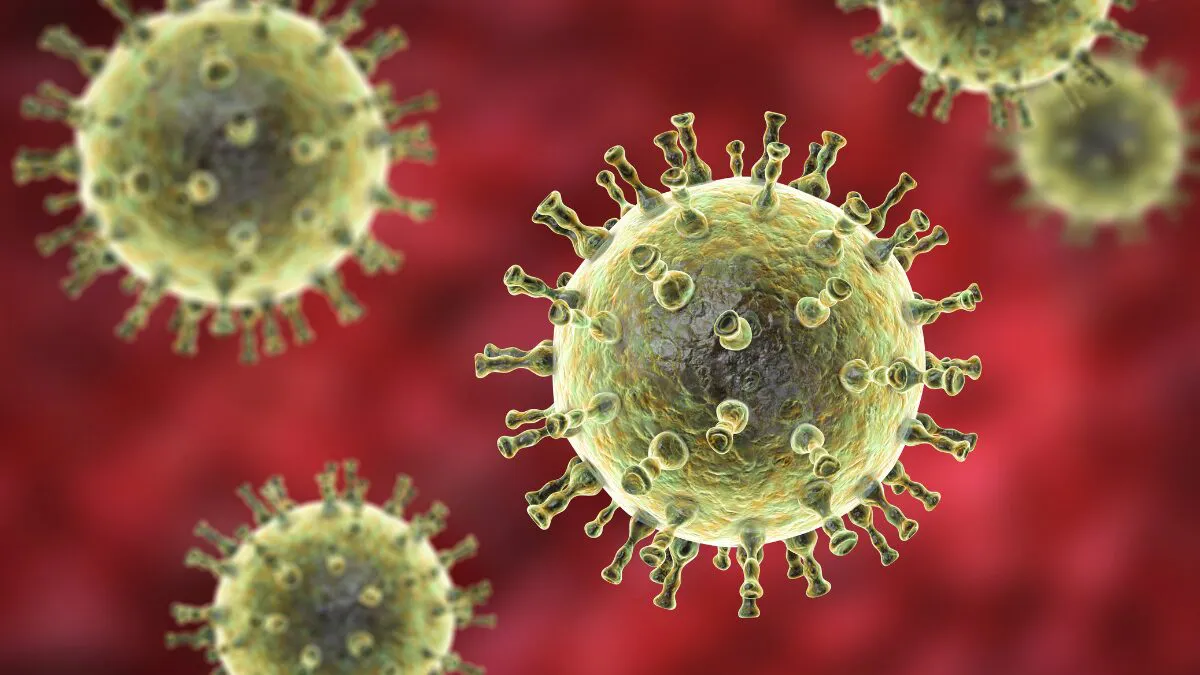 metapneumovirus humano