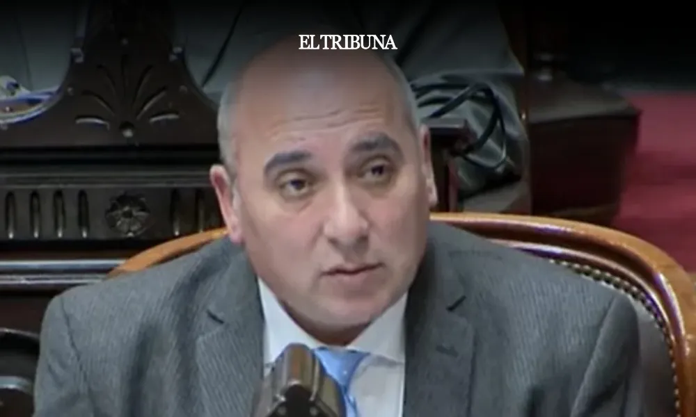 WhatsApp Image 2025-02-11 at 10.54.16