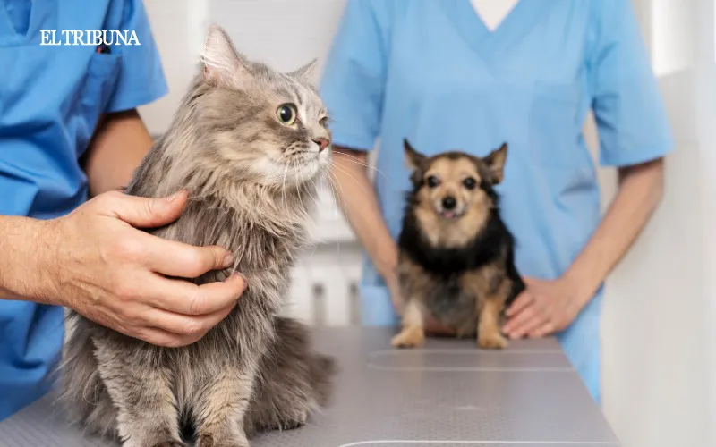 WhatsApp Image 2025-04-22 at 10.32.09