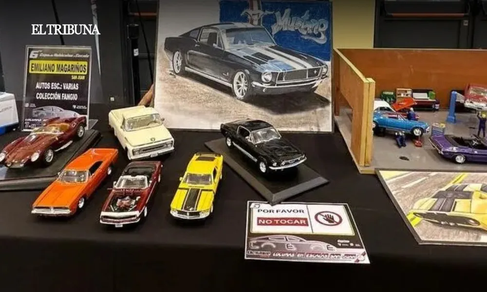 WhatsApp Image 2025-02-21 at 11.39.21