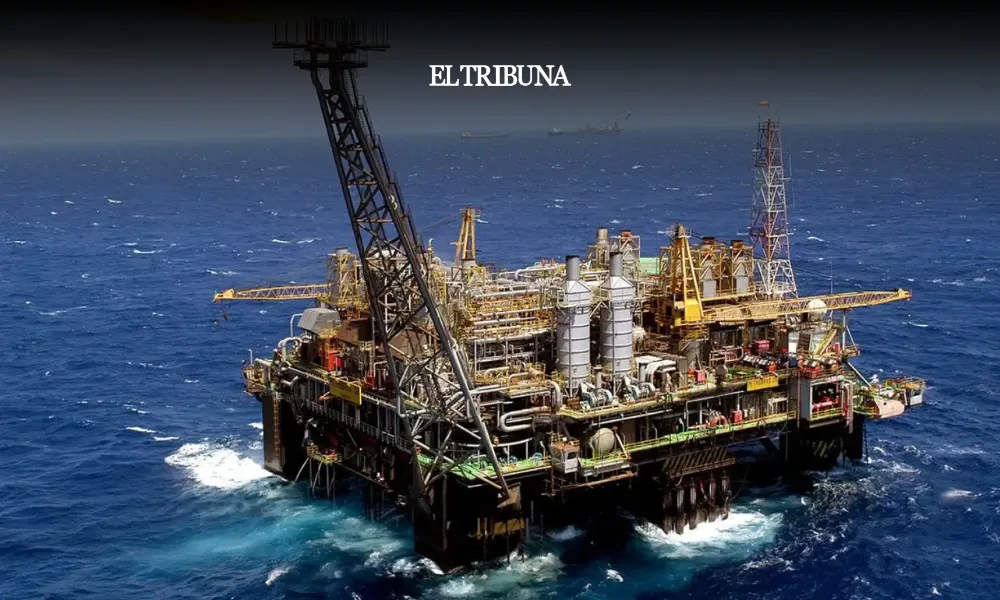 WhatsApp Image 2025-03-31 at 11.22.58