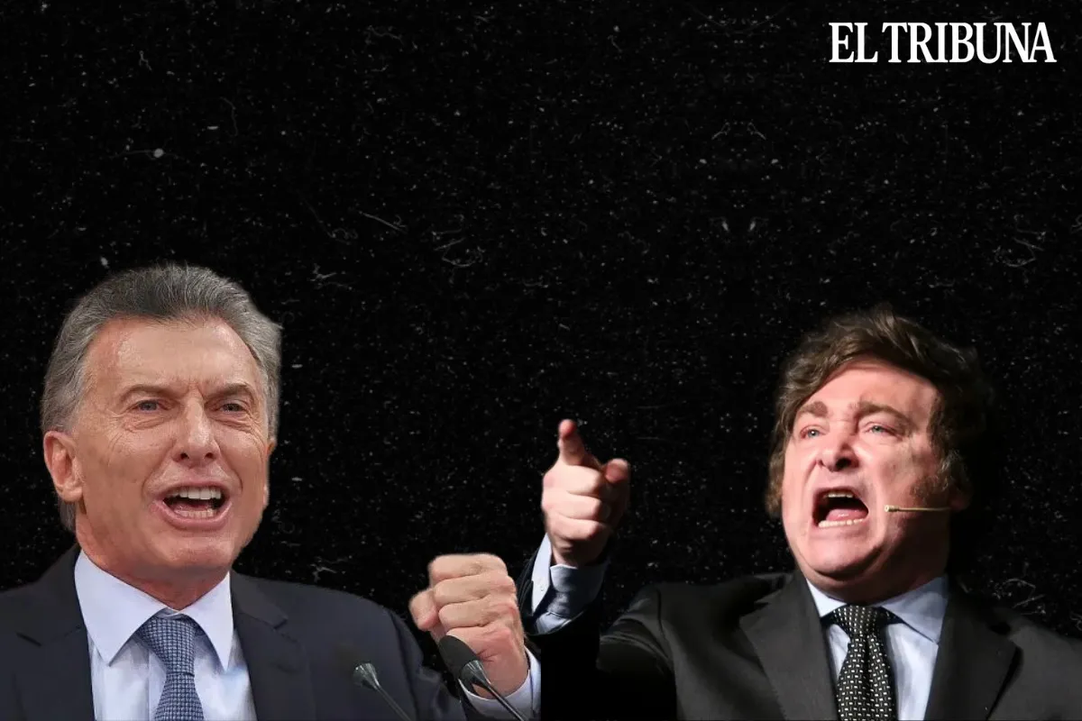 WhatsApp Image 2025-05-09 at 10.12.42