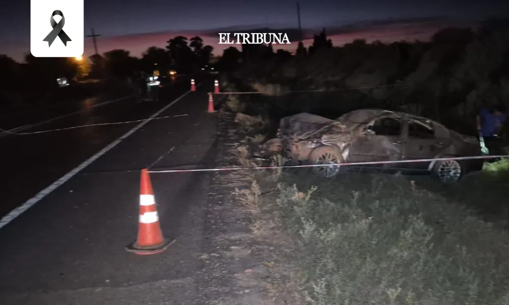 WhatsApp Image 2025-02-19 at 09.51.54