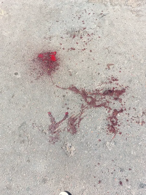 Imagen de WhatsApp 2025-02-24 a las 22.02.05_9f475d2b