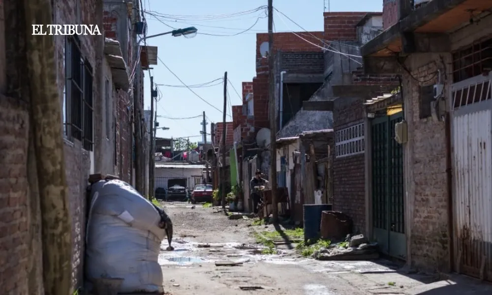 WhatsApp Image 2025-04-07 at 12.22.51