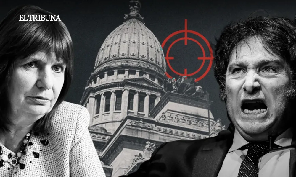 WhatsApp Image 2025-03-10 at 11.33.51