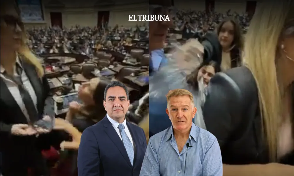 WhatsApp Image 2025-03-13 at 10.04.54