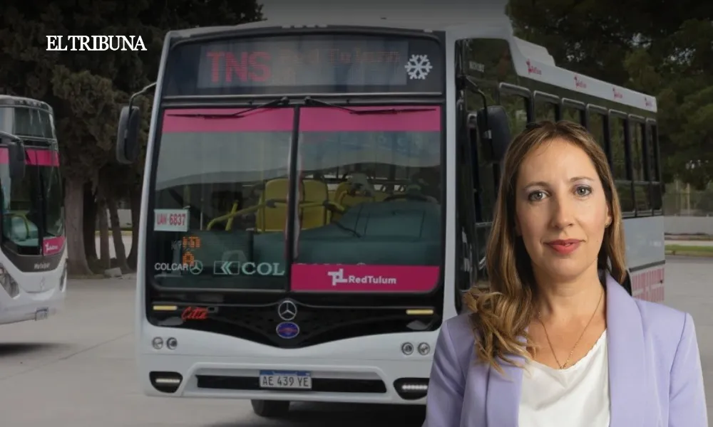 WhatsApp Image 2025-03-13 at 08.13.51