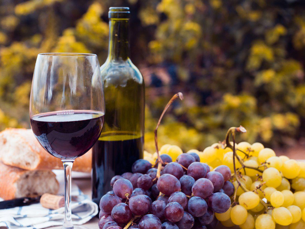 vinos-41
