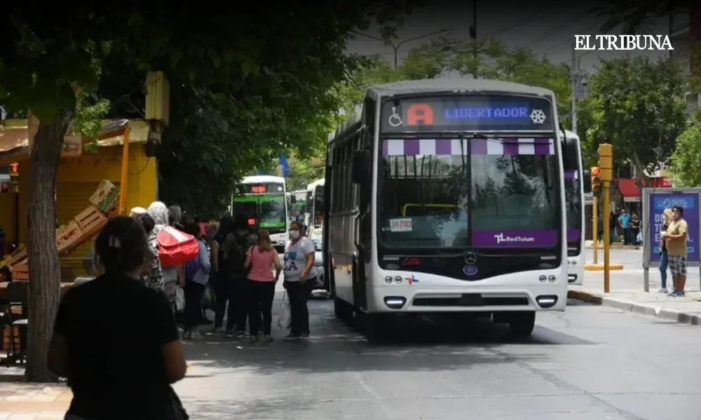 WhatsApp Image 2025-03-27 at 07.45.34